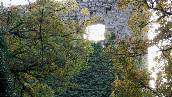 Il castello di Ranco